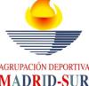 AD MADRID SUR VS Escuela de Fútbol Vicálvaro (2015-11-14)
