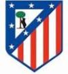 Atlético de Madrid VS Escuela de Fútbol Vicálvaro (2015-11-14)